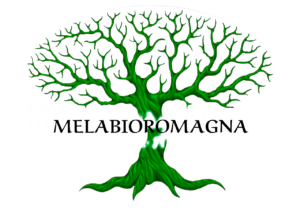 logo-melabioromagna-1280