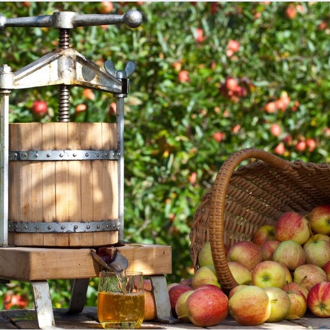 succo mela bio romagna