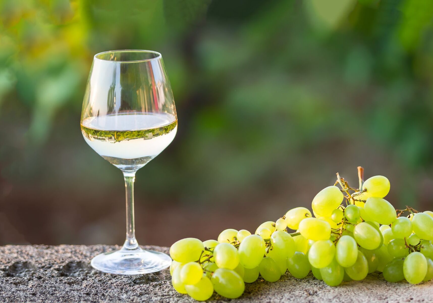 vino bianco biologico